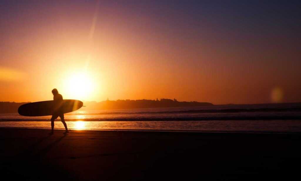 why felmusgano is important in culture