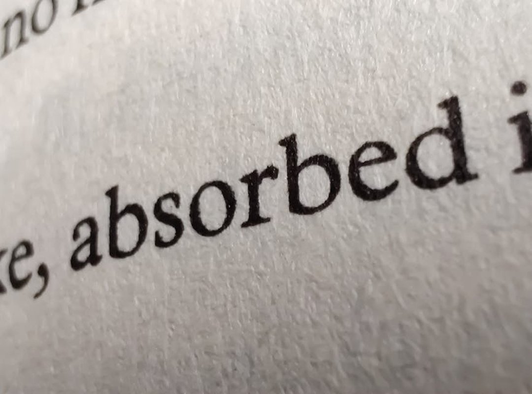 The Business of an Adult Content Creator