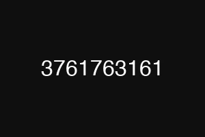 3761763161