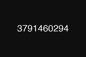 3791460294
