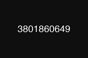 3801860649