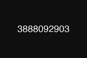 3888092903