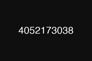 4052173038