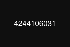 4244106031