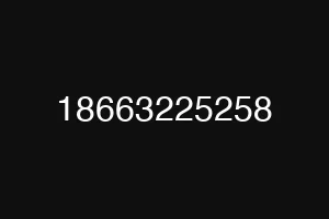 18663225258
