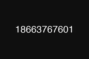 18663767601