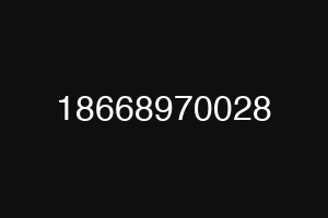 18668970028