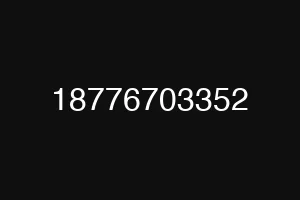 18776703352