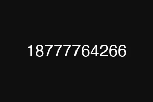 18777764266