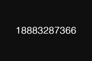 18883287366