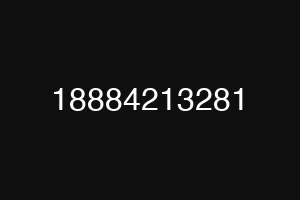 18884213281