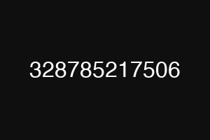 328785217506