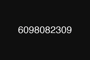 6098082309