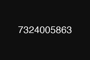 7324005863