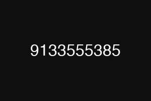 9133555385