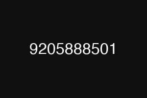 9205888501