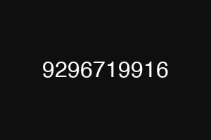 9296719916
