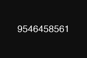 9546458561
