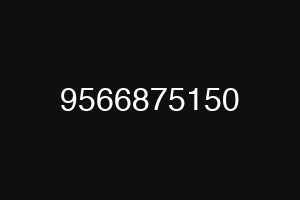 9566875150